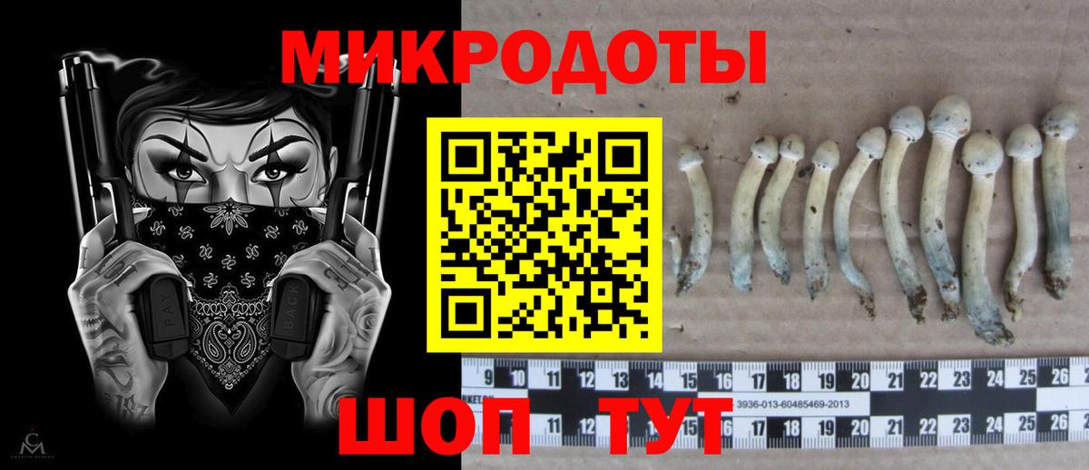 Тимашёвск  купить  цена  Псилоцибиновые грибы GOLDEN TEACHER  Вход с VPN  Галлюциногенные грибы Psilocybe 
